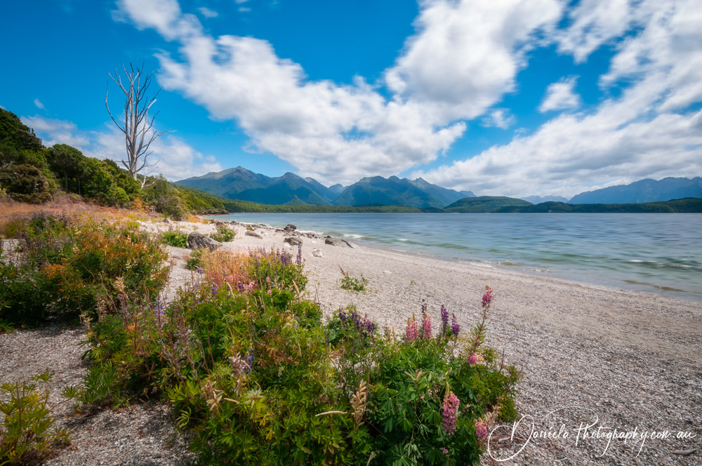 Lake Manapouri in New Zealand
